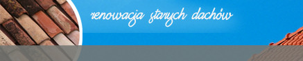 montaż dachów szczecin